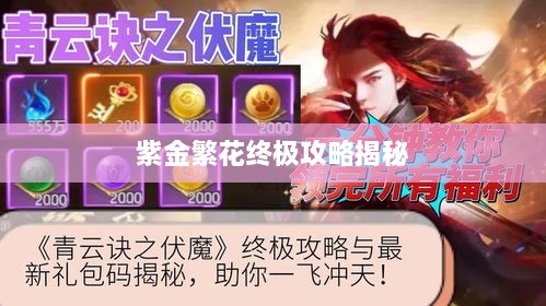 紫金繁花终极攻略揭秘