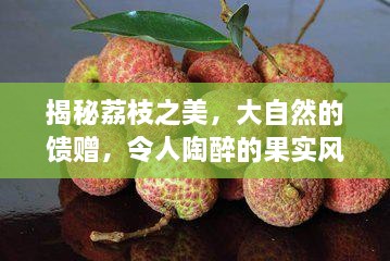 揭秘荔枝之美，大自然的馈赠，令人陶醉的果实风采