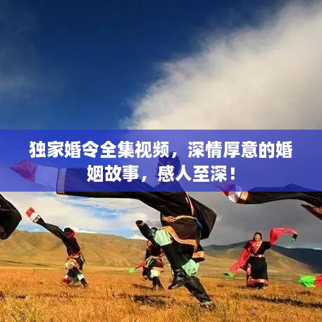 关于我们 第17页