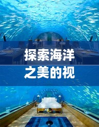 探索海洋之美的视觉盛宴，今日海景美图大全欣赏