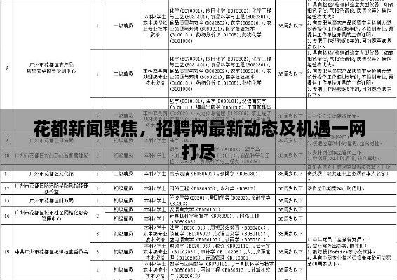 花都新闻聚焦，招聘网最新动态及机遇一网打尽