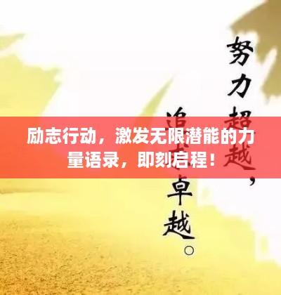 关于我们 第11页