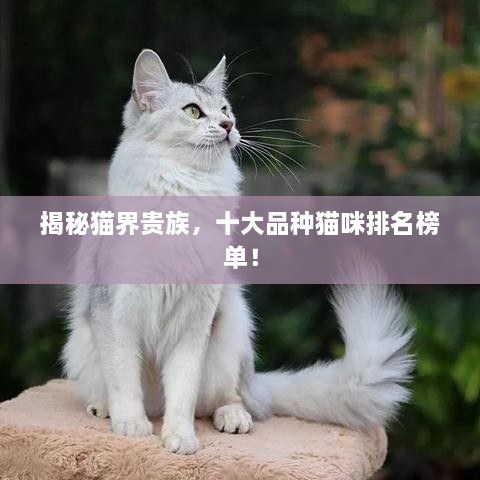 千辛万苦