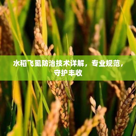 关于我们 第7页