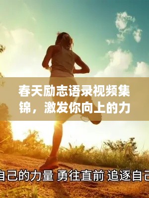2025年5月 第2页