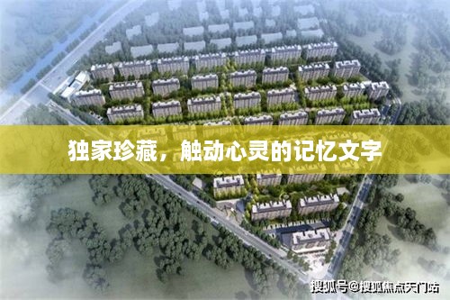 独家珍藏，触动心灵的记忆文字