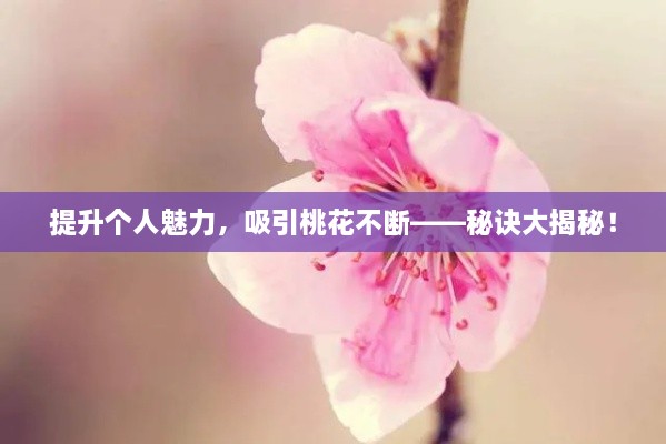 提升个人魅力，吸引桃花不断——秘诀大揭秘！
