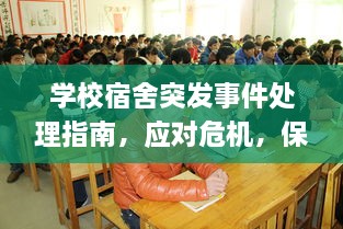 学校宿舍突发事件处理指南，应对危机，保障安全