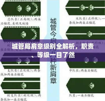 城管局肩章级别全解析，职责、等级一目了然