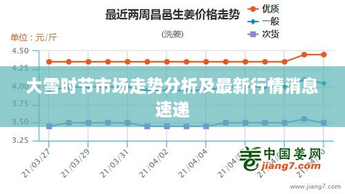 大雪时节市场走势分析及最新行情消息速递