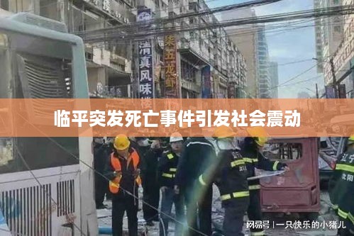 临平突发死亡事件引发社会震动