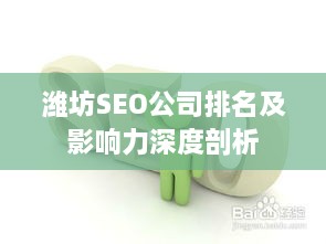 潍坊SEO公司排名及影响力深度剖析
