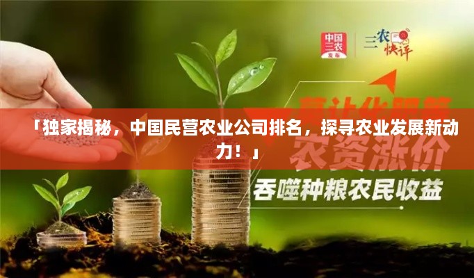 「独家揭秘，中国民营农业公司排名，探寻农业发展新动力！」