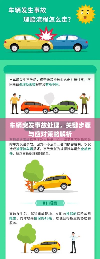 车辆突发事故处理，关键步骤与应对策略解析