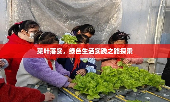 菜叶落实，绿色生活实践之路探索