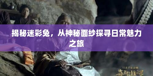 揭秘迷彩兔，从神秘面纱探寻日常魅力之旅