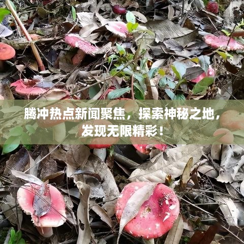 腾冲热点新闻聚焦，探索神秘之地，发现无限精彩！